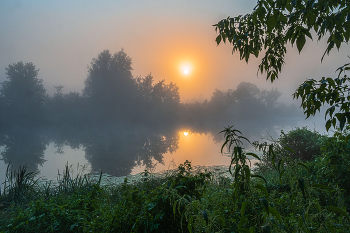 Sommermorgen. / ***