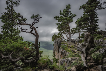 somewhere in the mountains / ***