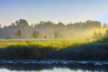 Fog and sun / ***