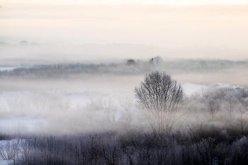 Foggy morning / ***