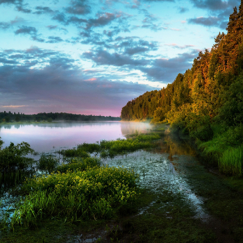 Warm morning / ***
