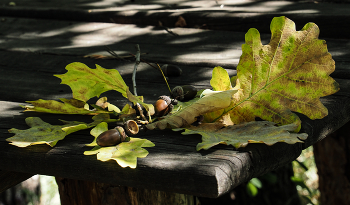 That autumn / ***