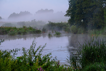 Morning fog. / ***