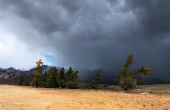 Approximation of rain / ***