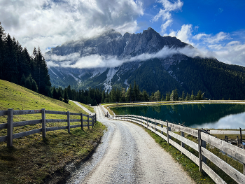 Road / ***