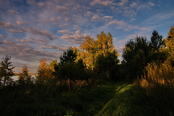 Evening. / ***