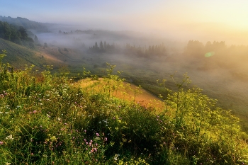 heaven / ***