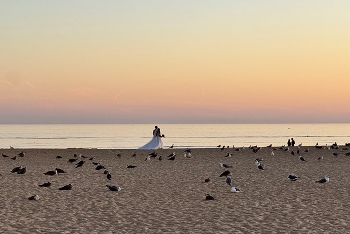 on the shore / ***