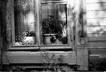 Decembrists / ***