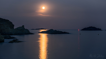 Moonlight night / ***
