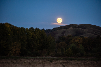 Full moon / ***