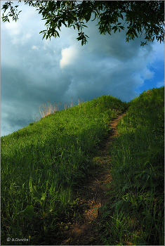 The road to heaven / ***