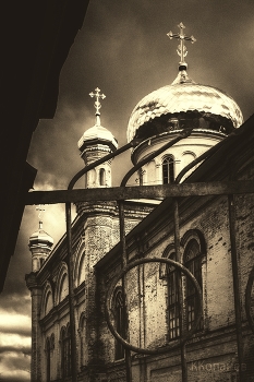Vera / ***