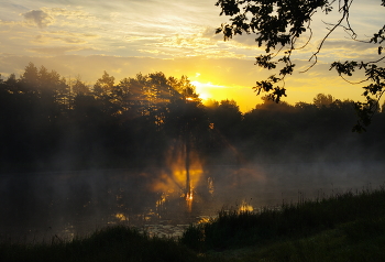 At the forest lake / ***