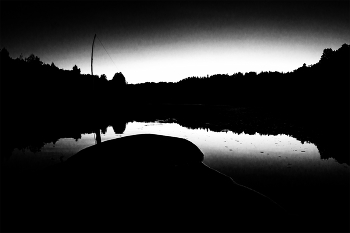 Life around / ***