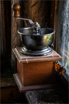 Detail / ***