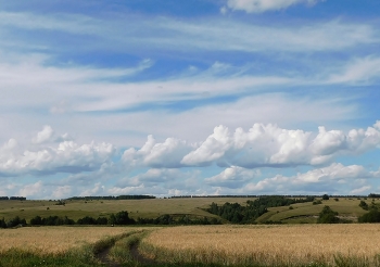 road in a field / ***