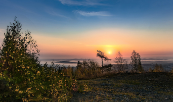 Autumn Sun / ***