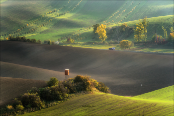 Herbstlicht / ***