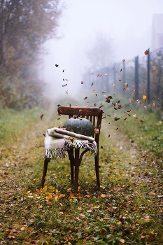 Autumn / ***