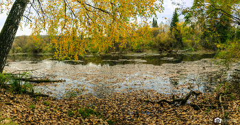 Golden Autumn / ***