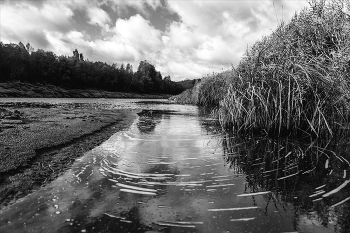 Leben rund um / ***