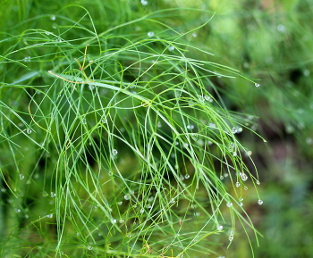 drop. / ***