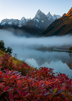 Morgennebel / ***
