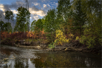 Siberian autumn / ***