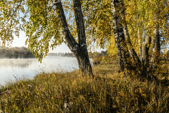 September-Morgen / ***