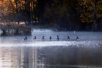 Morgen Promenade / ***