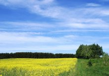 Last day of spring ... / *****