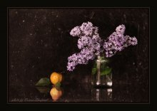 Lilac / ***