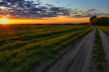Country Road ... / ***
