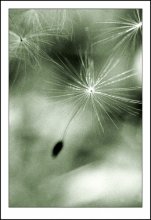 Fly-Fly ... / **************************