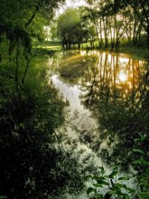 green mood / ))))))))
