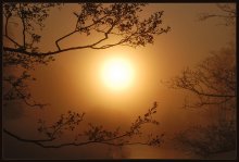Es werde Licht! / ***