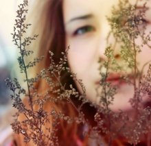 Spring roar filled my head / ***