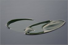 After the rain / ***