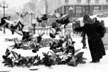 Of pigeons / ***