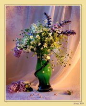 Summer herbs / ******
