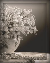 Daisies / *******