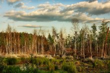 Meshchersky swamps ... / ***