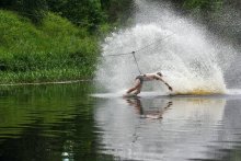 Catching sharks in bait / ***