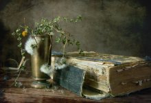 The book / .........