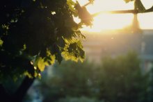 Before sunset ... / ***