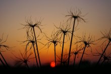 Sonnenuntergänge / -----