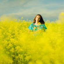 flowers / .......