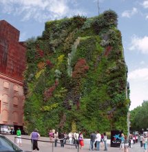 Vertical garden / ***