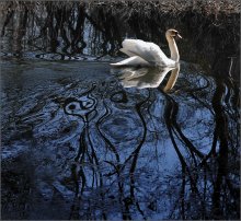 Sorcerer Lake / ***